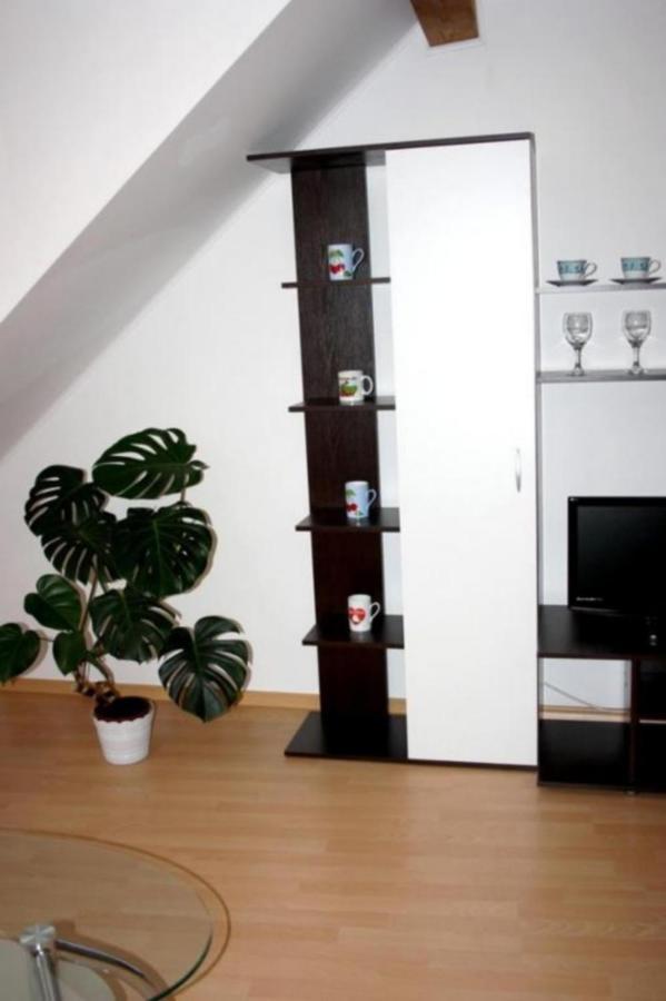 Ubytovani Susice Apartment *