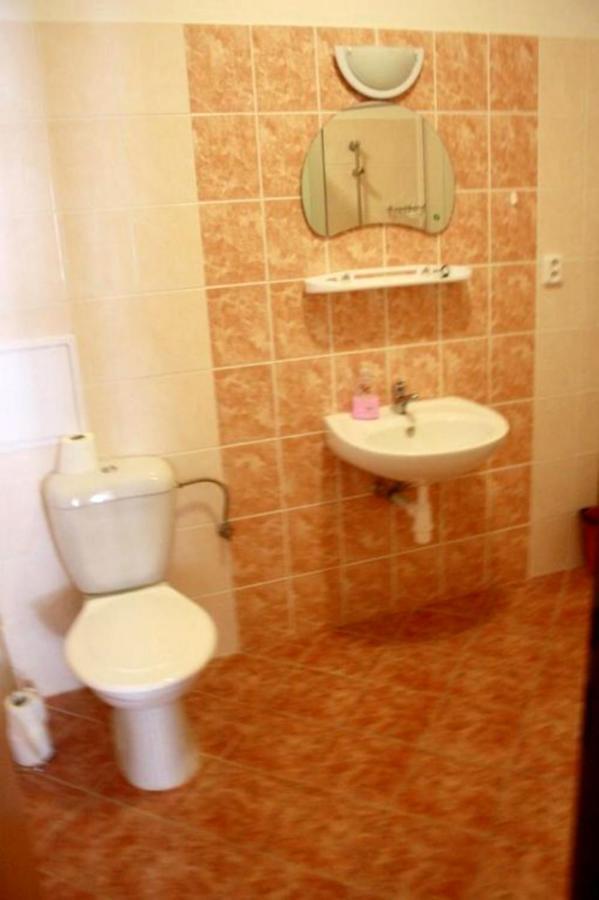 Apartment Ubytovani Susice Susice