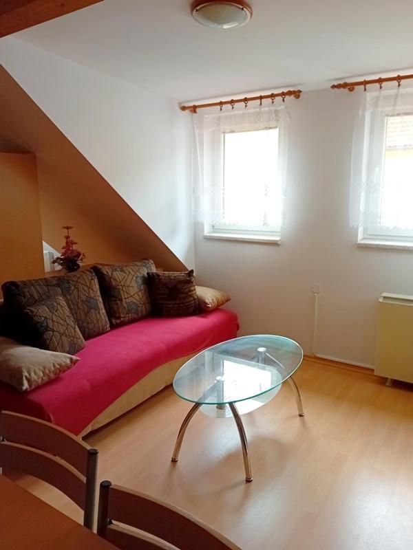 Ubytovani Susice Apartment *