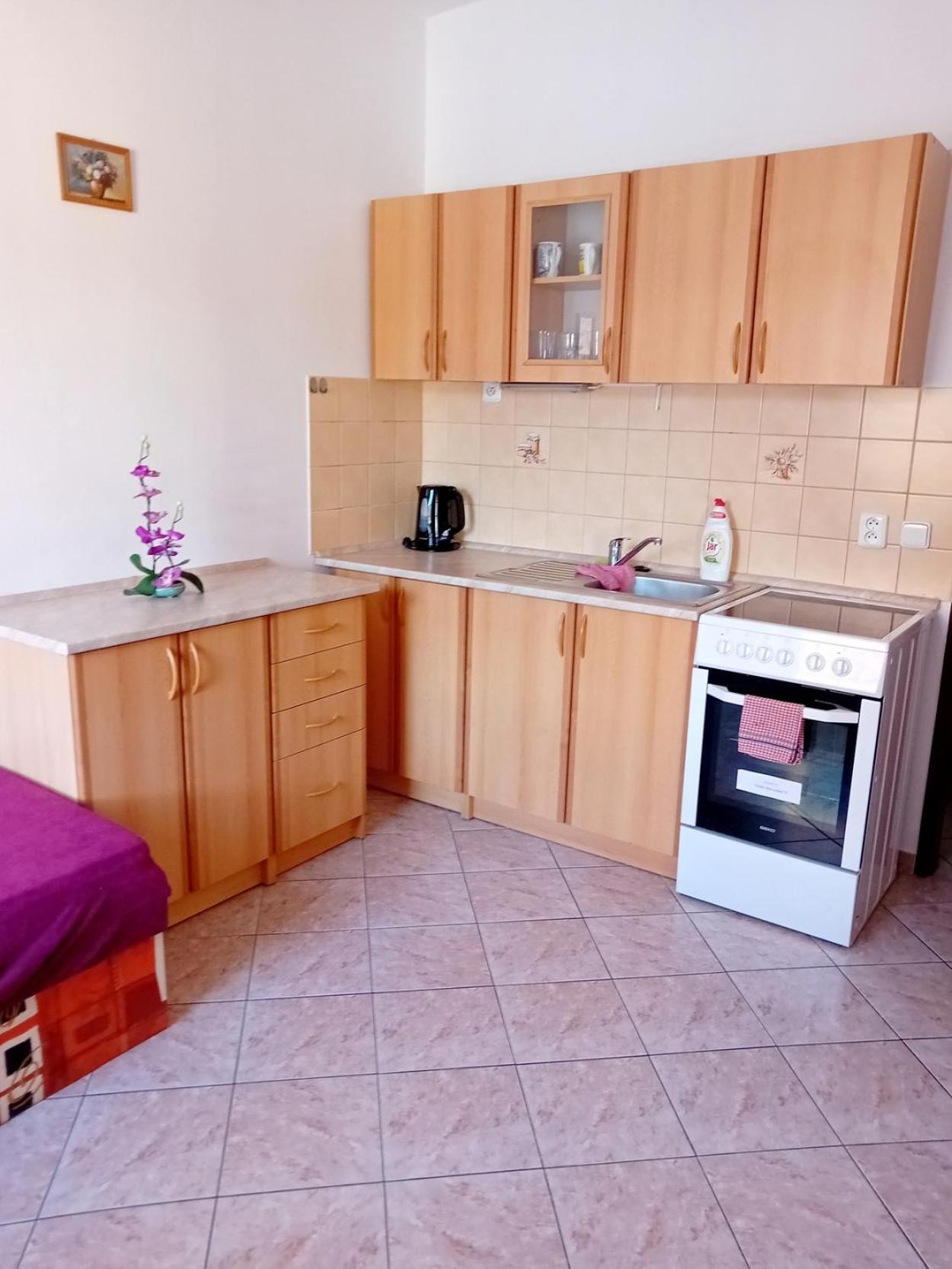 Apartment Ubytovani Susice *