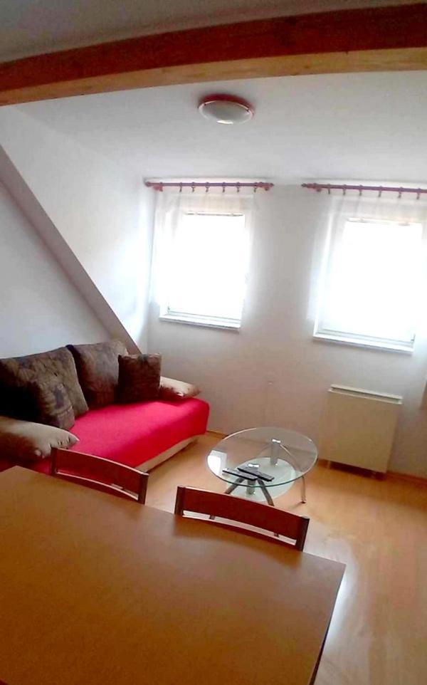 Apartment Ubytovani Susice